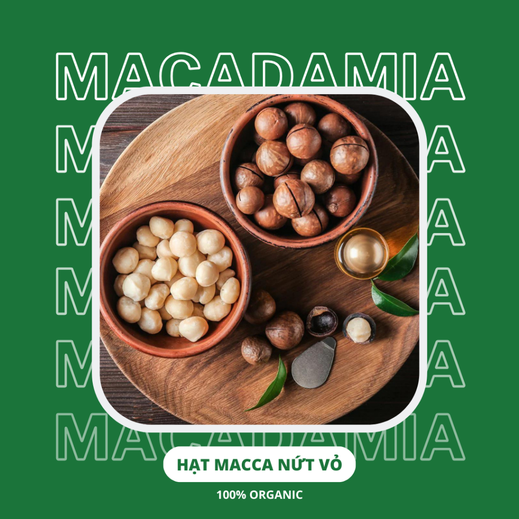Hạt macca nứt vỏ, hạt mắc ca Tây Nguyên organic size lớn - Nông sản ...