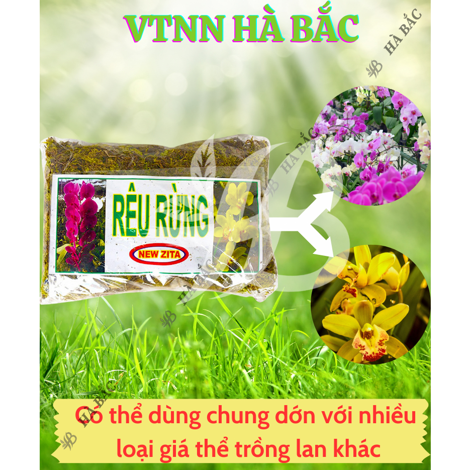 Rêu Rừng Trồng Lan Giữ Ẩm Tốt - Rêu Rừng Khô - Chuyên dùng cho lan, Giúp giữ nước, Kháng khuẩn, Cung cấp oxy cho cây