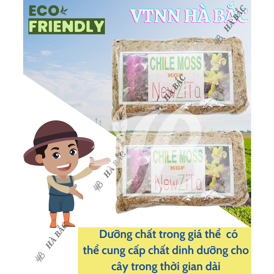 Rêu Rừng Trồng Lan Giữ Ẩm Tốt - Rêu Rừng Khô - Chuyên dùng cho lan, Giúp giữ nước, Kháng khuẩn, Cung cấp oxy cho cây