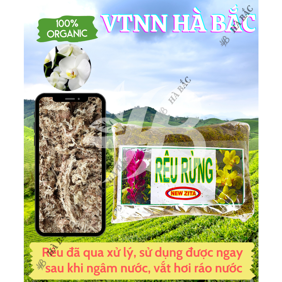 Rêu Rừng Trồng Lan Giữ Ẩm Tốt - Rêu Rừng Khô - Chuyên dùng cho lan, Giúp giữ nước, Kháng khuẩn, Cung cấp oxy cho cây