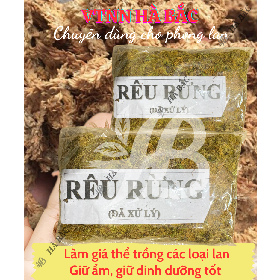 Rêu Rừng Trồng Lan Giữ Ẩm Tốt - Rêu Rừng Khô - Chuyên dùng cho lan, Giúp giữ nước, Kháng khuẩn, Cung cấp oxy cho cây
