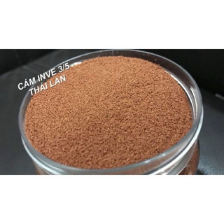 Cám thái inve 3/5 Thái Lan lọ 50g