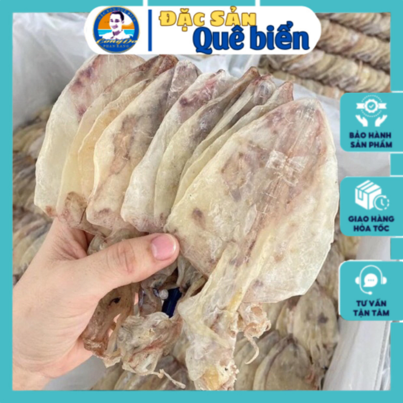 Combo 10 con khô mưc mini,ngọt mực loại ngon size 50 con/500g. | Shopee ...