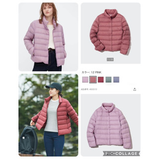 Uniqlo 411339 sales