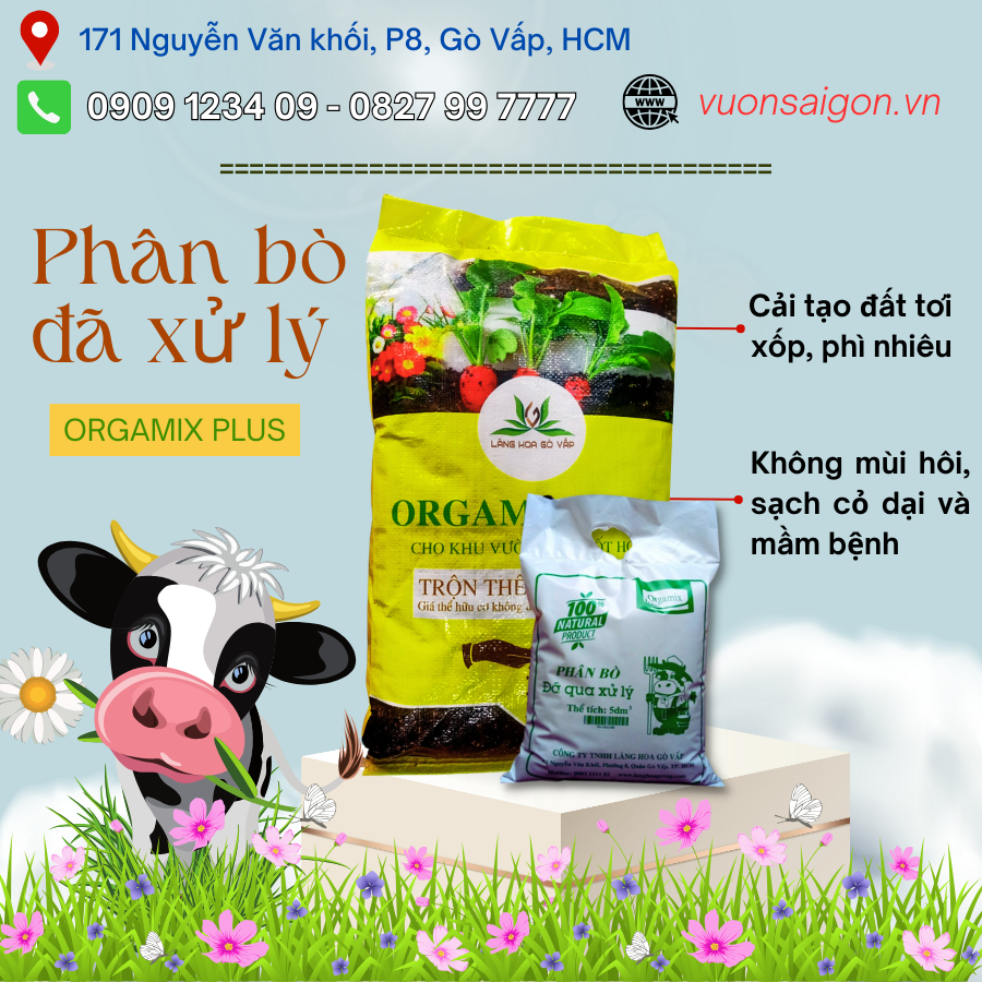 Phân bò Orgamix đã xử lý, ủ hoai mục 1