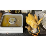 Nồi hấp 3 tầng Lebenlang LBEL5031 18L - Công suất 900W, 3 tầng hấp nguyên con gà bảo hành chính hãng 2 năm — ảnh 6