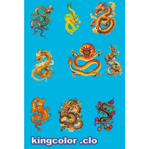 HÌNH ỦI QUẦN  ÁO-HÌNH VẼ / PANT ART HÌNH  RỒNG VÀNG ỦI ÁO-ỦI TRỰC TIẾP TẠI  NHÀ BẰNG BÀN ỦI