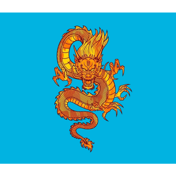 HÌNH ỦI QUẦN  ÁO-HÌNH VẼ / PANT ART HÌNH  RỒNG VÀNG ỦI ÁO-ỦI TRỰC TIẾP TẠI  NHÀ BẰNG BÀN ỦI