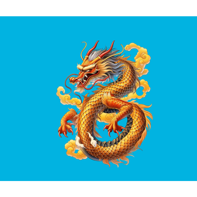 HÌNH ỦI QUẦN  ÁO-HÌNH VẼ / PANT ART HÌNH  RỒNG VÀNG ỦI ÁO-ỦI TRỰC TIẾP TẠI  NHÀ BẰNG BÀN ỦI