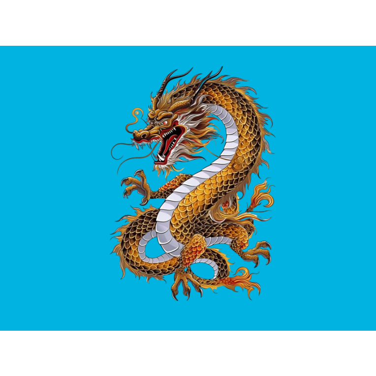 HÌNH ỦI ÁO-HÌNH RỒNG VÀNG ỦI ÁO-ỦI TRỰC TIẾP TẠI  NHÀ BÀNG BÀN ỦI-Gía khuyến mãi-THOTRANG.OFFICAL-LUCKY
