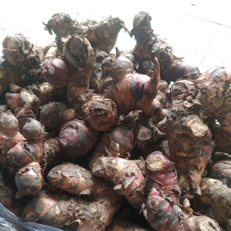 củ chuối. cu rong giềng 1kg[ luộc ăn] | Shopee Việt Nam