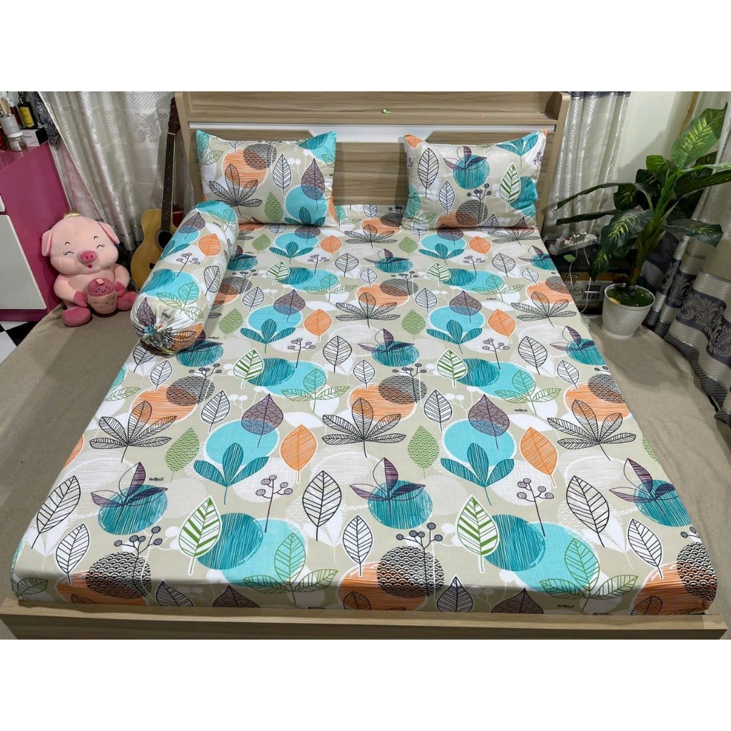 Bộ ga thun hàn quốc 4 món rẻ đẹp
