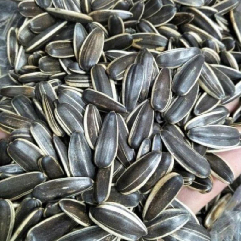 Hạt dinh dưỡng ngày tết , hạt dưa, hạt bí, hạt dướng dương, hạt dẻ, hạnh nhân, macca