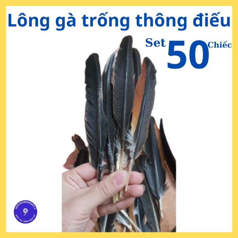 Lông gà thông điếu trang trí phụ kiện [combo 50 cái]