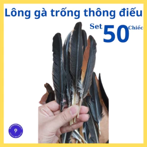 Lông gà thông điếu trang trí phụ kiện [combo 50 cái]