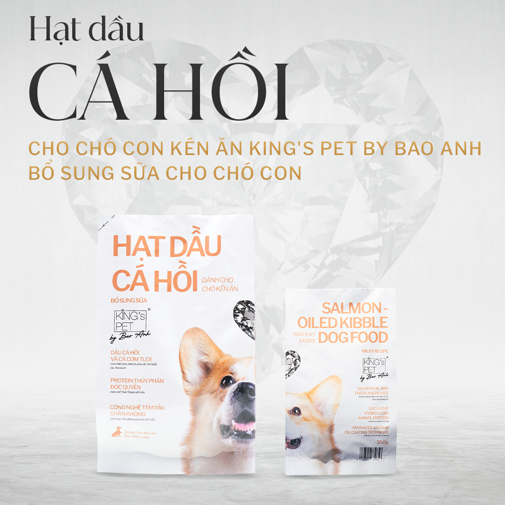 Hạt dầu cá hồi dành cho chó con kén ăn King's Pet by Bao Anh - bổ sung ...
