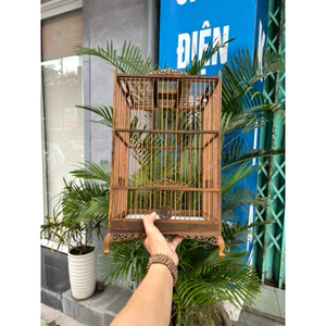lồng hút mật/ vành khuyên 23*40 combo đủ phụ kiện lồng chim đôla huế