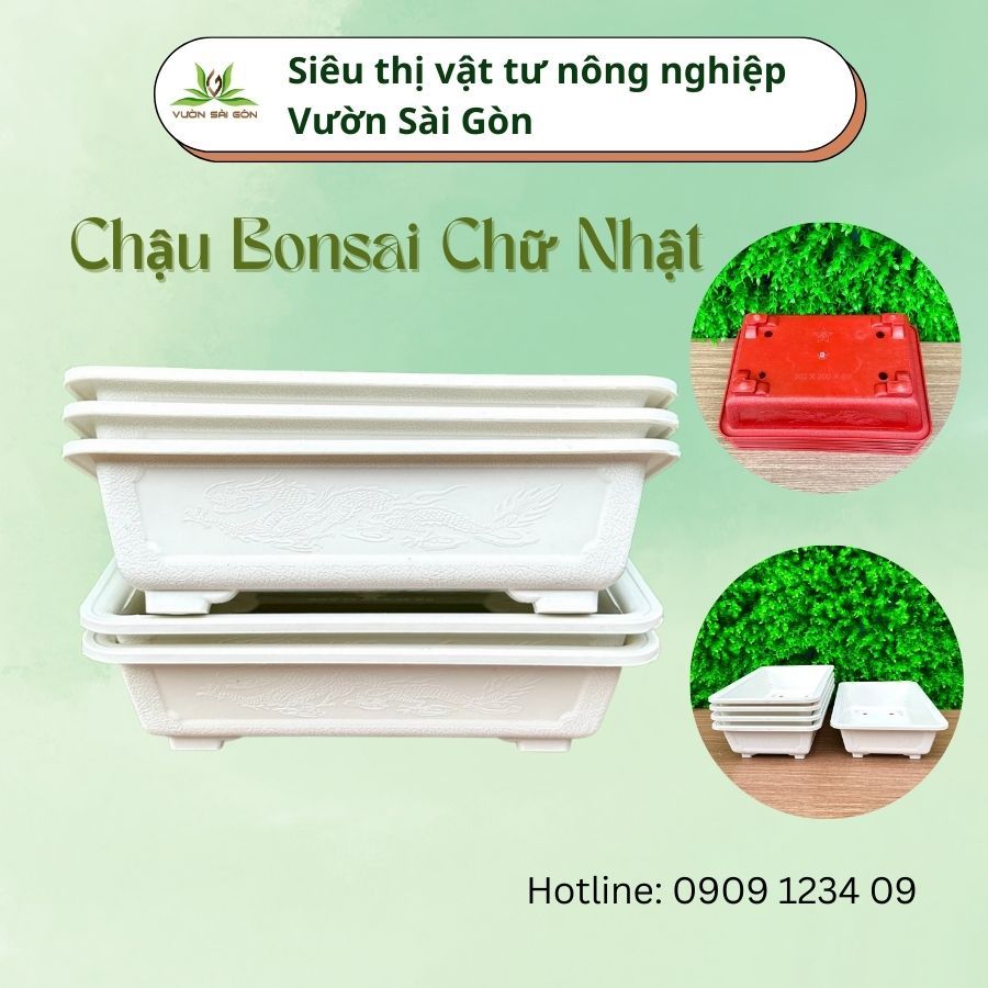 Chậu bonsai mini chậu nhựa trồng cây bonsai 7