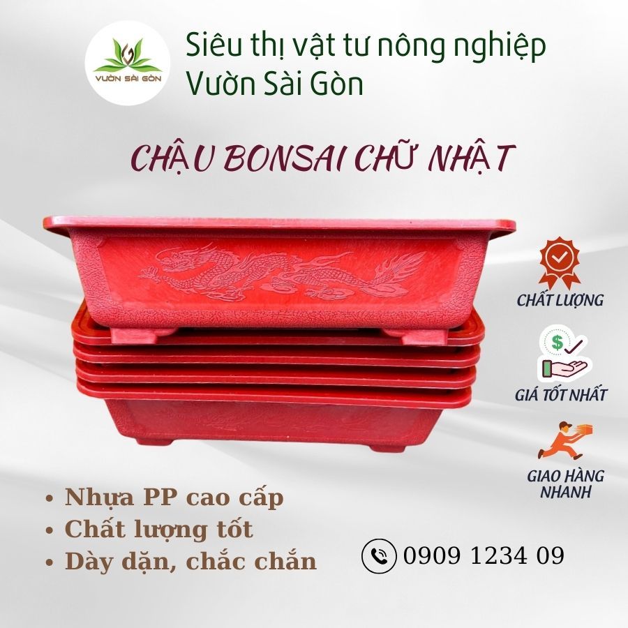 Chậu bonsai mini chậu nhựa trồng cây bonsai 8