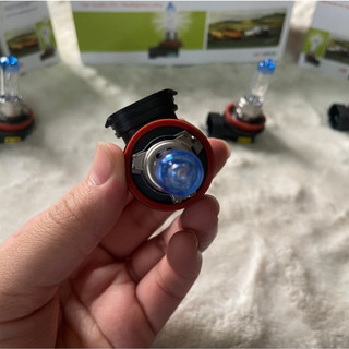 Hộp 10 Bóng đèn pha ô tô, bóng H8 HCL 12V 35W.