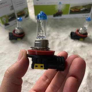 Bóng đèn pha ô tô, bóng H8 HCL 12V 35W.
