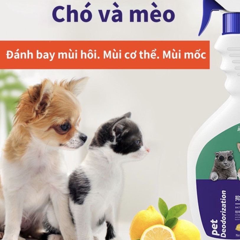 Xịt khử mùi cho thú cưng Chumchumpet hương nước hoa chai 500ml, Xịt khử mùi nước tiểu, khử mùi chậu cát chó mèo