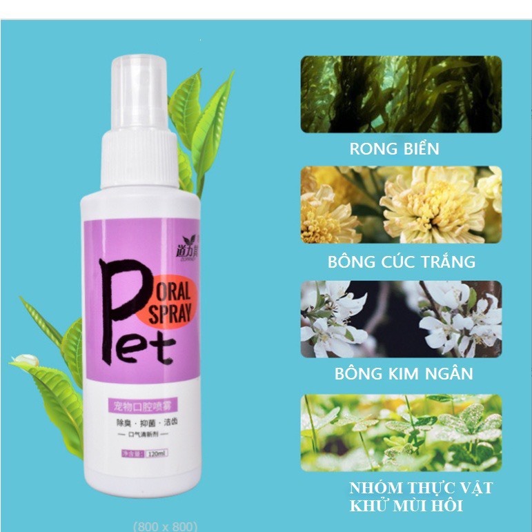 Xịt thơm miệng cho chó mèo chai 120ml, Chai xịt khử hôi miệng giải tỏa căng thẳng cho thú cưng