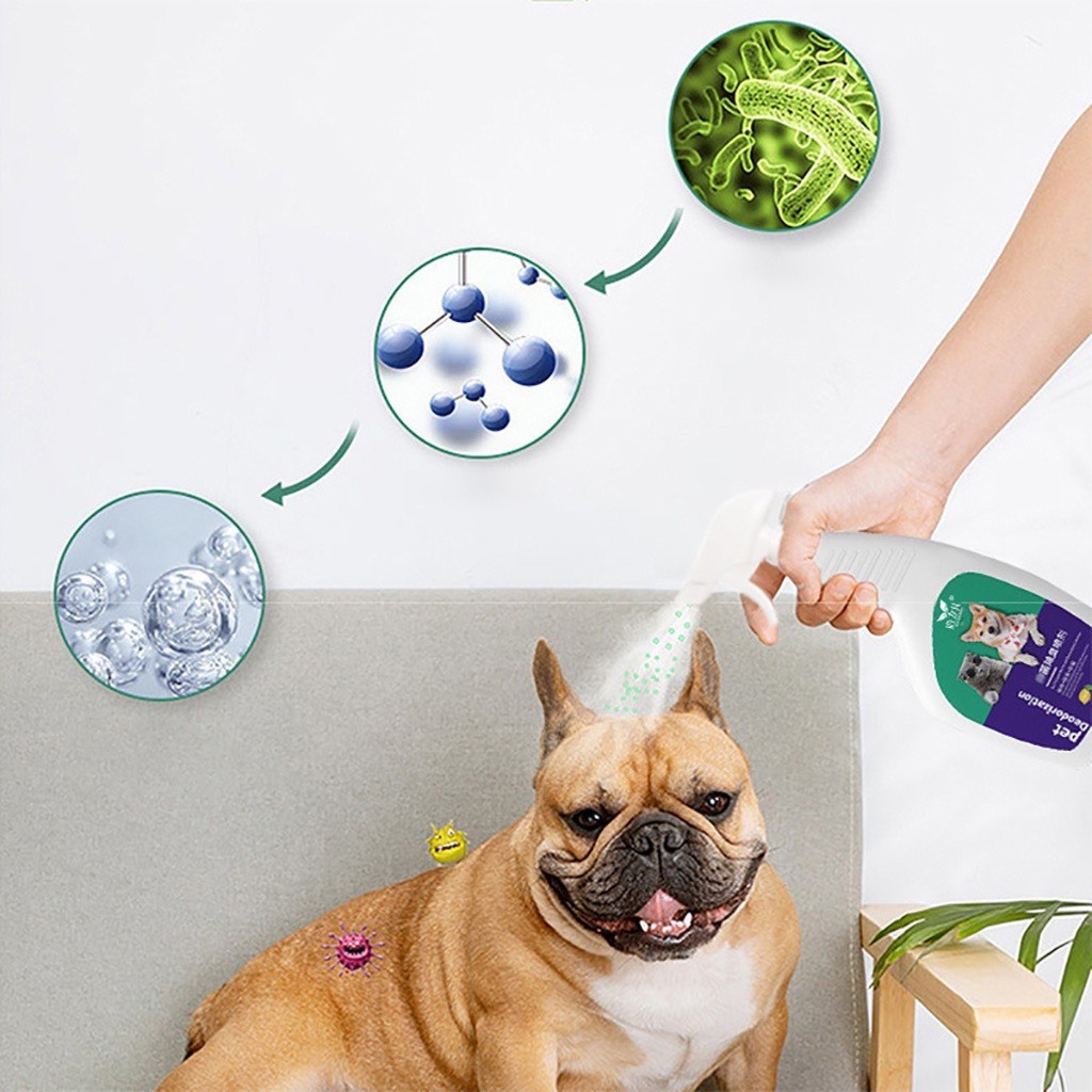 Xịt khử mùi cho thú cưng Chumchumpet hương nước hoa chai 500ml, Xịt khử mùi nước tiểu, khử mùi chậu cát chó mèo