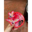patch vải ủi nhiệt thêu hình thời trang tròn 2 cò núi gắn áo dài