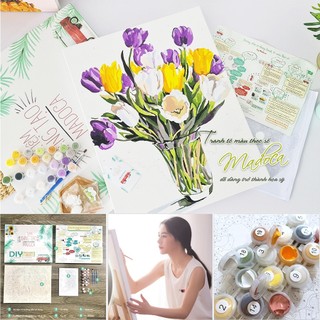 XẢ HÀNG - Tranh tô màu theo số, Tranh sơn dầu số hóa tự tô Madoca có khung, kích thước 40x50cm