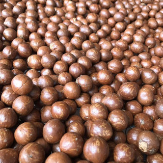 Macca Lâm Đồng Size VIP Túi 500gr và 1kg
