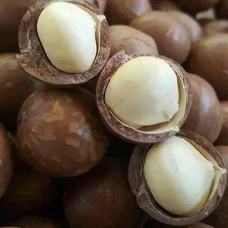 Macca Lâm Đồng Size VIP Túi 500gr và 1kg