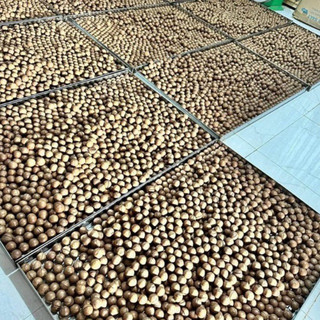 Macca Lâm Đồng Size VIP Túi 500gr và 1kg