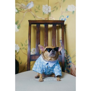 ÁO GHILÊ THÚ CƯNG DENIM NGÔI SAO