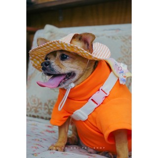 TÚI BAO TỬ MINI THÚ CƯNG
