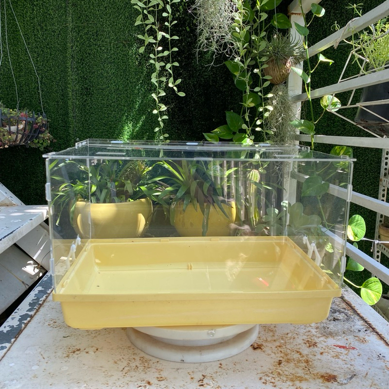 Hộp mica 47cm KHÔNG PHỤ KIỆN nuôi ốc mượn hồn, ốc rụt rè, dã tràng, cua ...