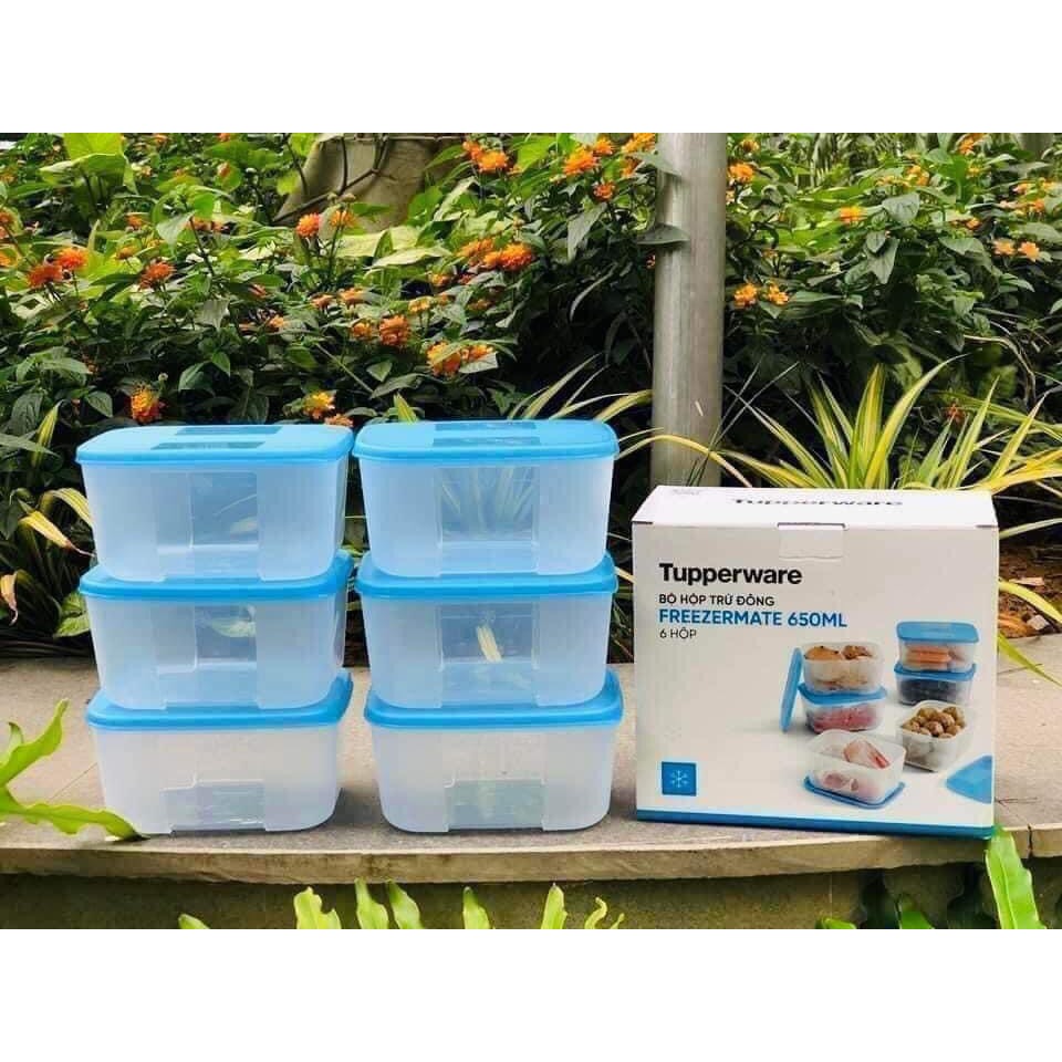 Bộ set 6 hộp 650ml Tupperware | Shopee Việt Nam