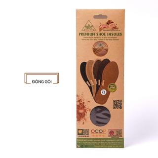 Lót Giầy Thun Cotton Hương Quế Cao Cấp CI-10, Khử mùi hôi chân