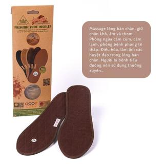 Lót Giầy Thun Cotton Hương Quế Cao Cấp CI-10, Khử mùi hôi chân