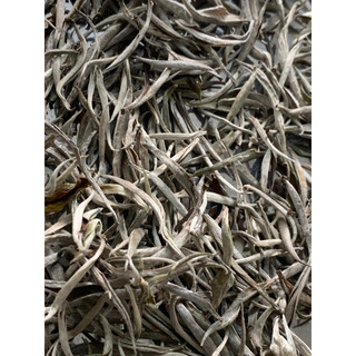 Bạch trà hộp vuông đỏ 50gr kèm túi xách