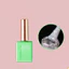 Sơn Gel Top Nhũ Kim Cương Vendeeni Chai 15ml