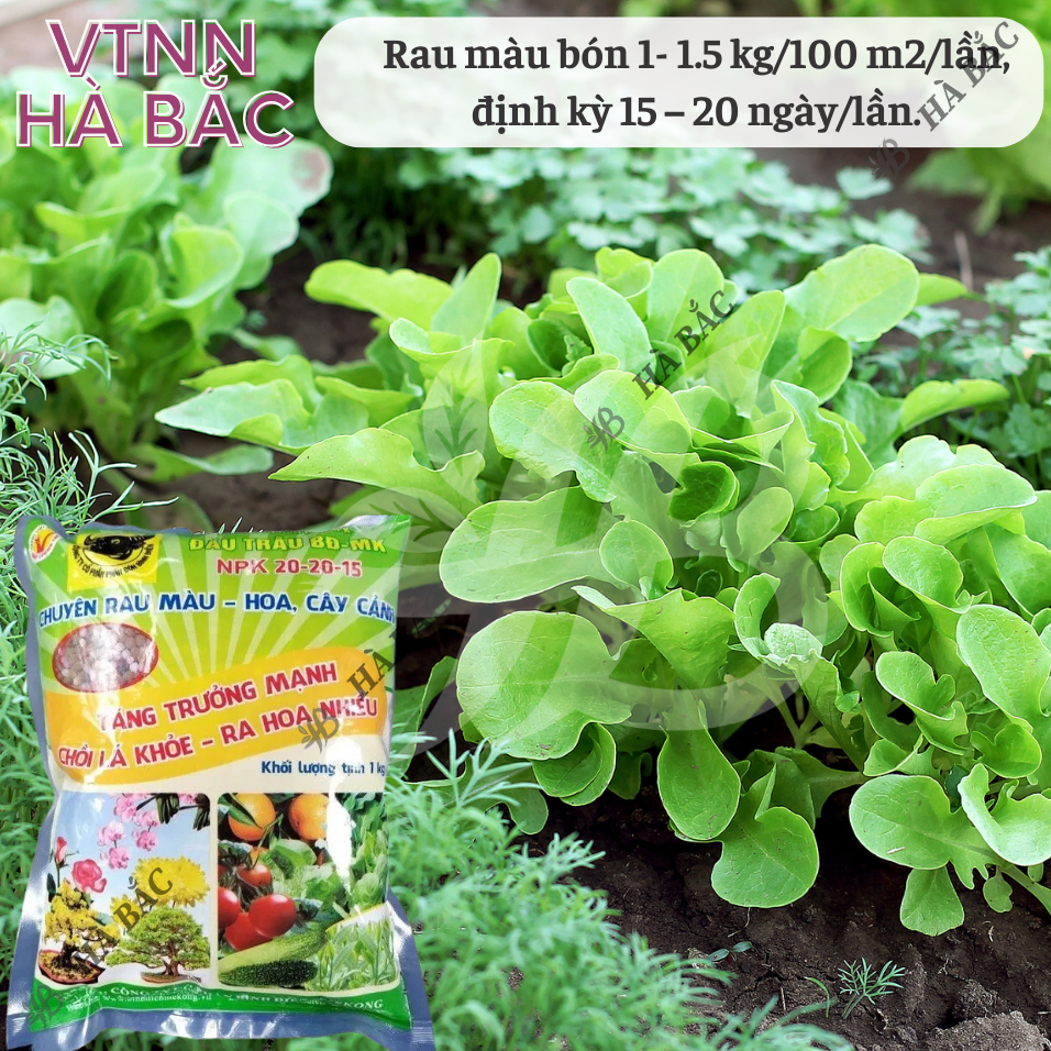 Phân Bón Đầu Trâu NPK 20-20-15 (túi 1kg)- Chuyên Cho Rau màu, Hoa, Cây Cảnh Giúp Cây Ra Hoa, Hoa Đẹp, Lâu Tàn, Kết trái