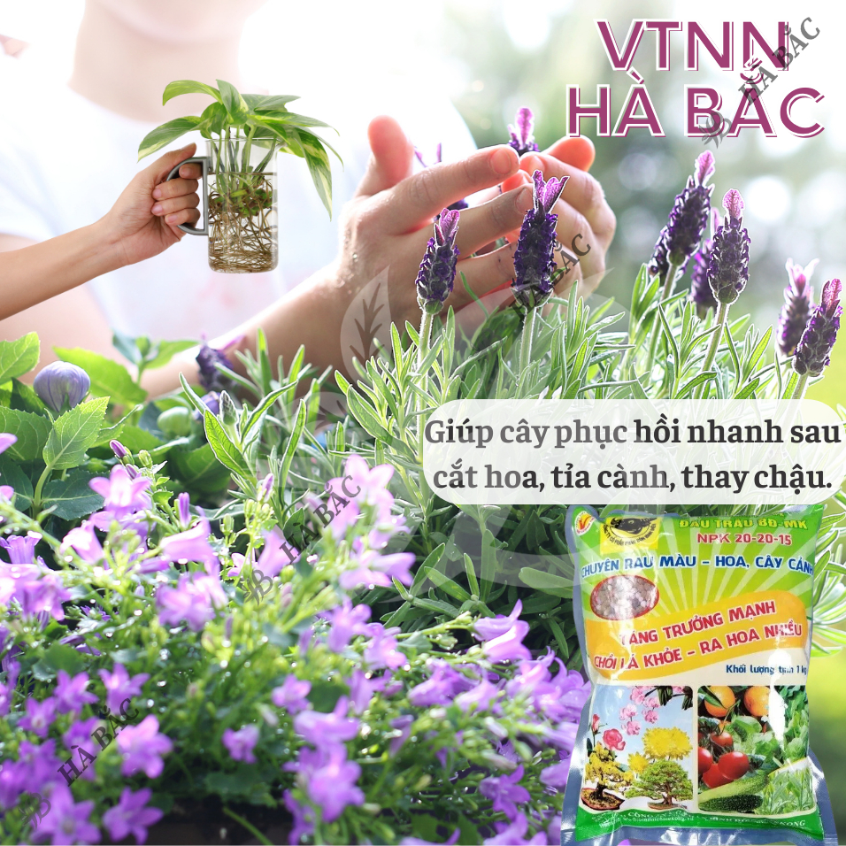 Phân Bón Đầu Trâu NPK 20-20-15 (túi 1kg)- Chuyên Cho Rau màu, Hoa, Cây Cảnh Giúp Cây Ra Hoa, Hoa Đẹp, Lâu Tàn, Kết trái