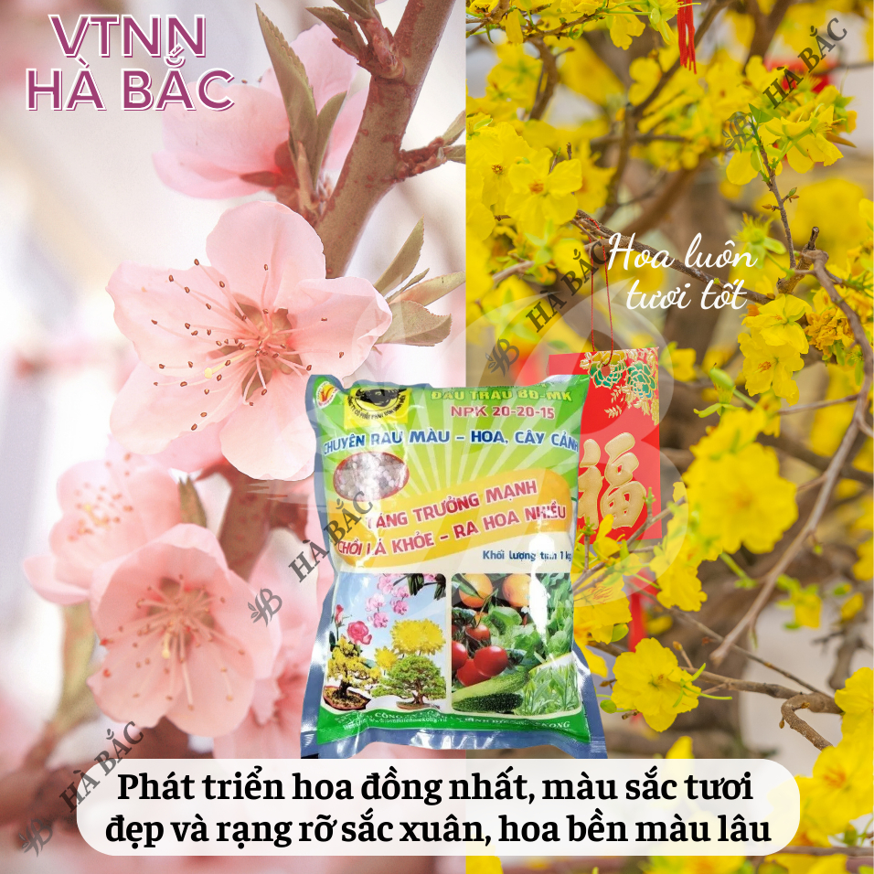 Phân Bón Đầu Trâu NPK 20-20-15 (túi 1kg)- Chuyên Cho Rau màu, Hoa, Cây Cảnh Giúp Cây Ra Hoa, Hoa Đẹp, Lâu Tàn, Kết trái