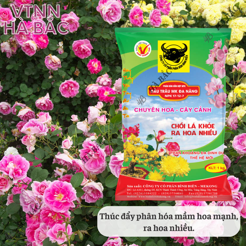 Phân bón đầu trâu đa năng NPK 17-12-7 (túi 1kg), Chuyên cho hoa và cây cảnh - Chồi lá khỏe, ra hoa nhiều