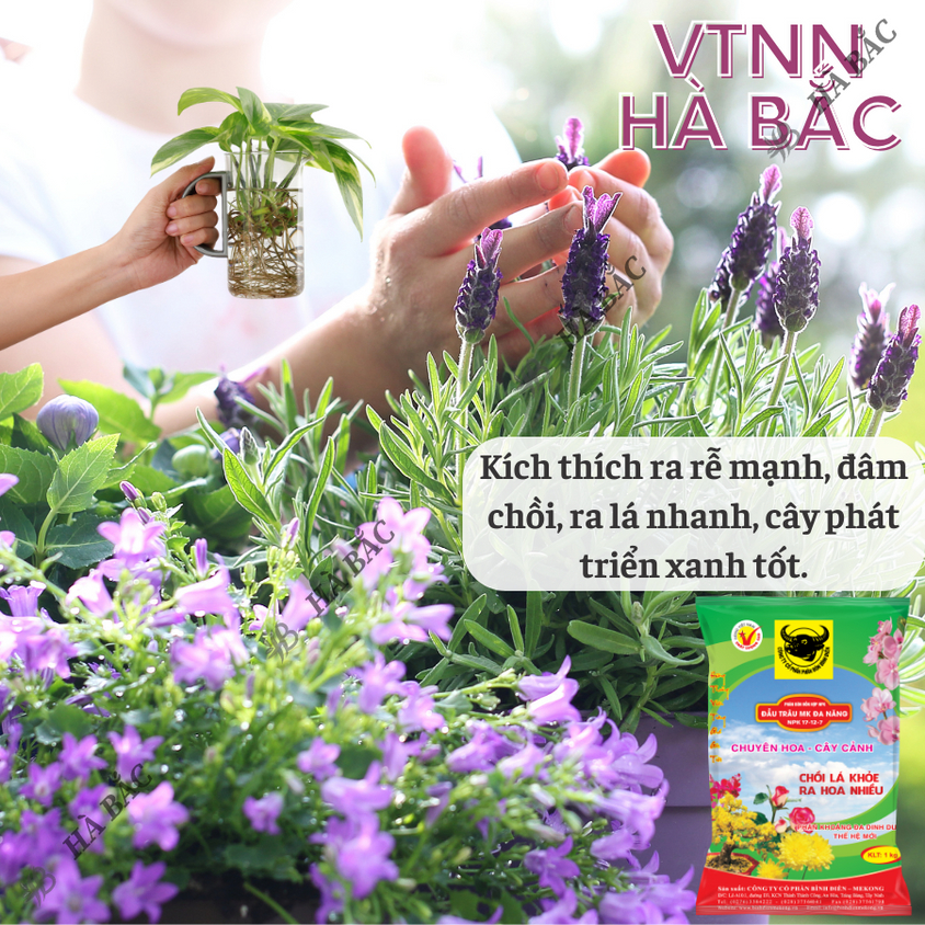 Phân bón đầu trâu đa năng NPK 17-12-7 (túi 1kg), Chuyên cho hoa và cây cảnh - Chồi lá khỏe, ra hoa nhiều