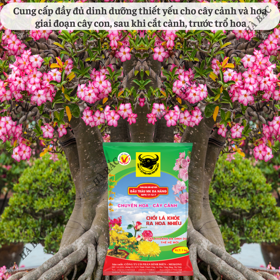 Phân bón đầu trâu đa năng NPK 17-12-7 (túi 1kg), Chuyên cho hoa và cây cảnh - Chồi lá khỏe, ra hoa nhiều