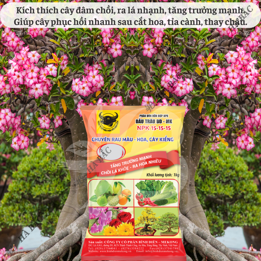 Phân bón đầu trâu NPK 15-15-15 (túi 1kg) - Chuyên cho rau màu, hoa và cây kiểng, tăng trưởng mạnh, chồi lá khỏe, ra hoa