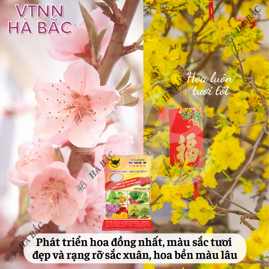 Phân bón đầu trâu NPK 15-15-15 (túi 1kg) - Chuyên cho rau màu, hoa và cây kiểng, tăng trưởng mạnh, chồi lá khỏe, ra hoa