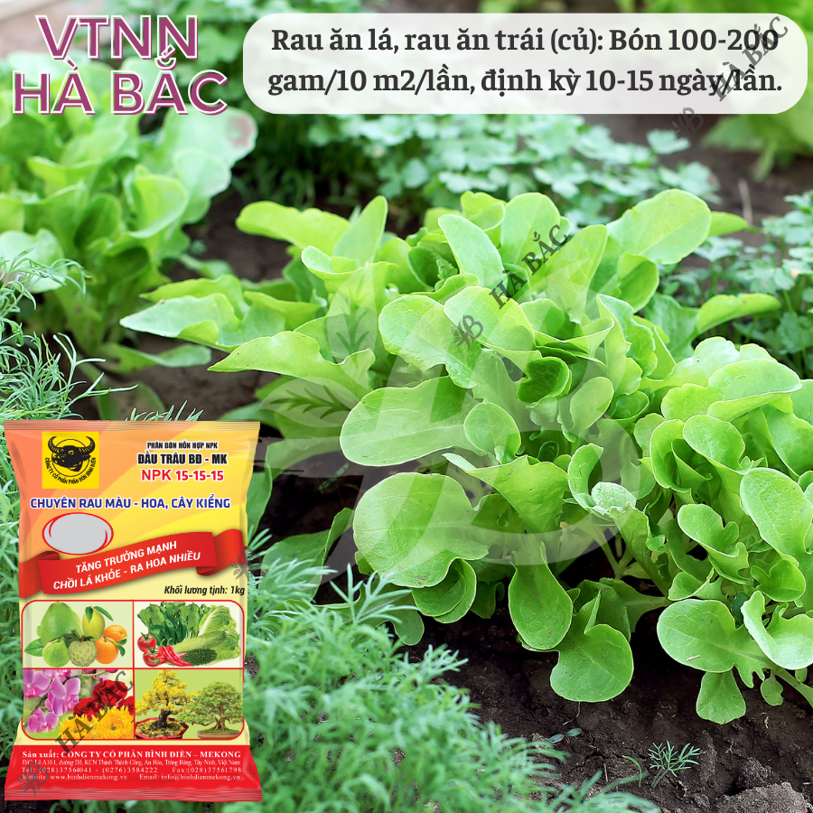 Phân bón đầu trâu NPK 15-15-15 (túi 1kg) - Chuyên cho rau màu, hoa và cây kiểng, tăng trưởng mạnh, chồi lá khỏe, ra hoa